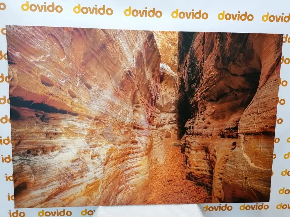 Quadro su tela – Sentiero nel Grand Canyon