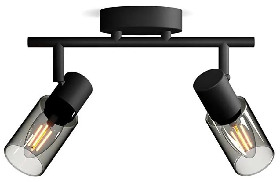 Philips - Faretto PALMS 2xE14/25W/230V