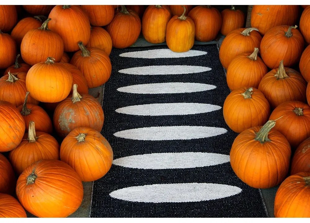 Passatoia da interno/esterno nera 70x300 cm Ella Black – Pappelina