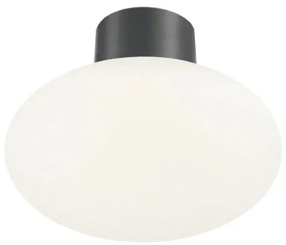 Ideal Lux - Plafoniera esterna CLIO 1xE27/42W/230V IP44 antracite