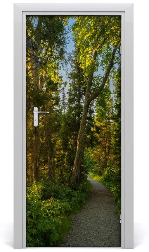 Poster adesivo per porta Sentiero nella foresta 75x205 cm