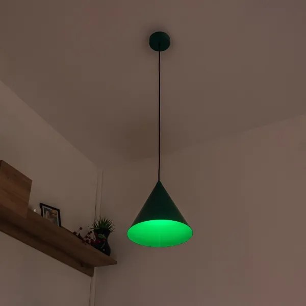 Lampada a sospensione ETNA II con cavo 1xE27/15W/230V Ø 25 cm verde