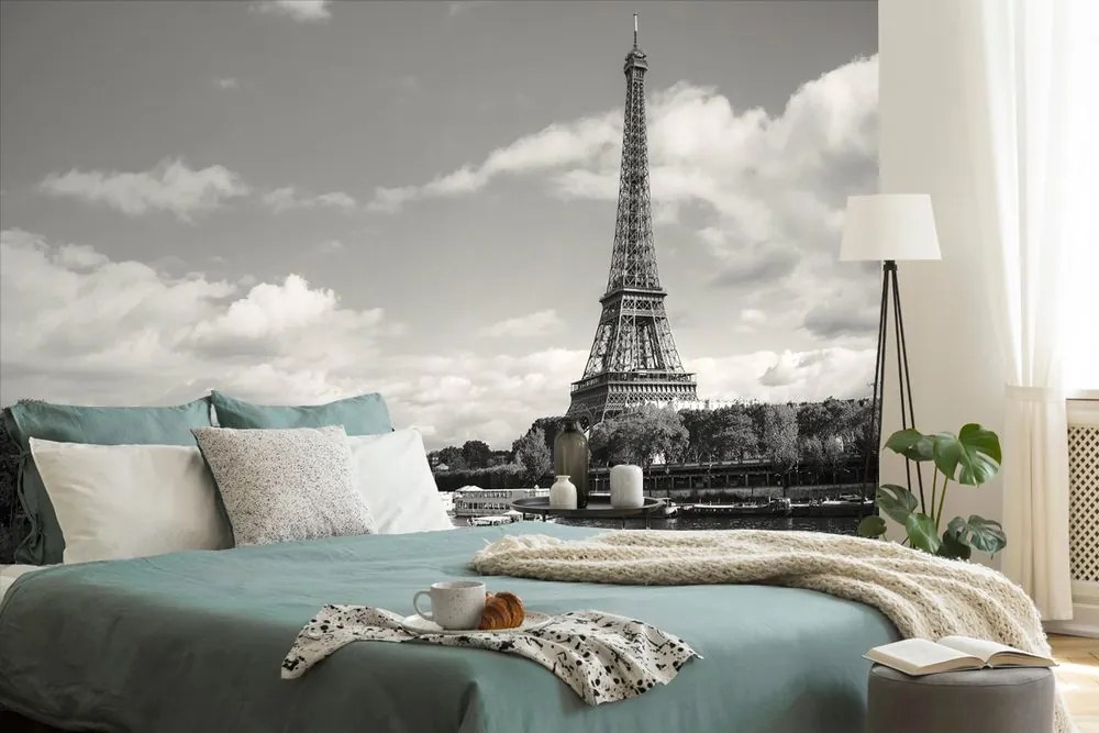 Carta da parati – Splendido panorama in bianco e nero di Parigi