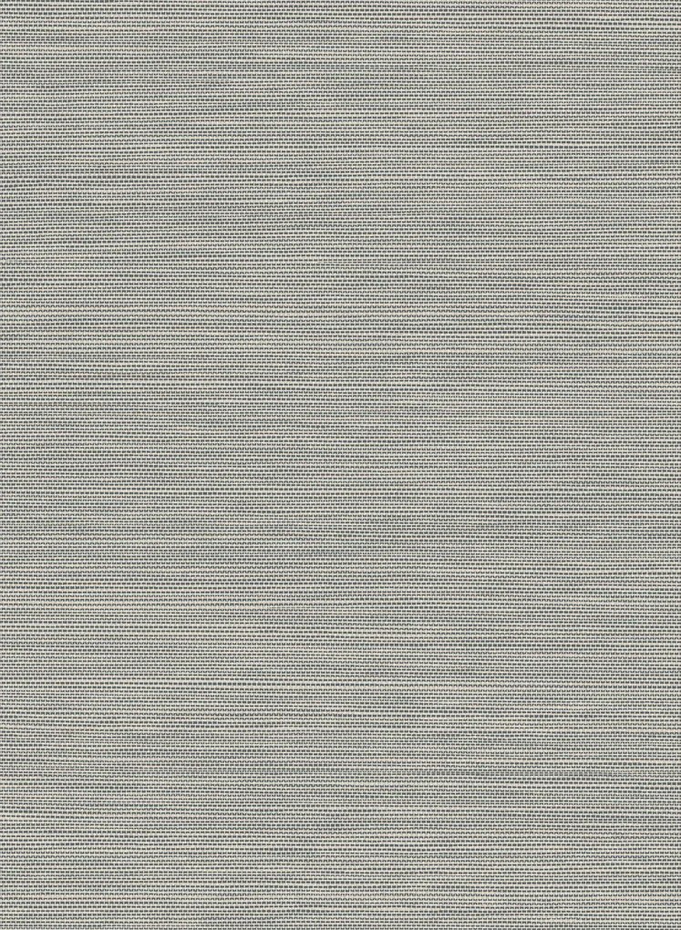Arte Carta da parati Craft - Pigeon