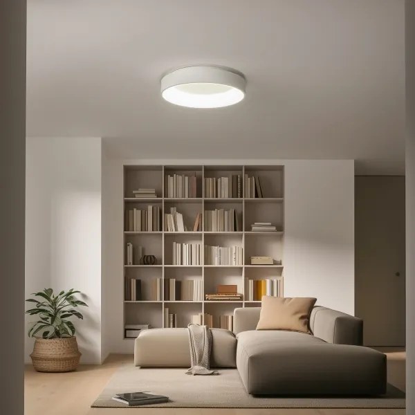 Brilagi - Plafoniera LED dimmerabile FALCON LED/80W/230V 3000-6500K + tc