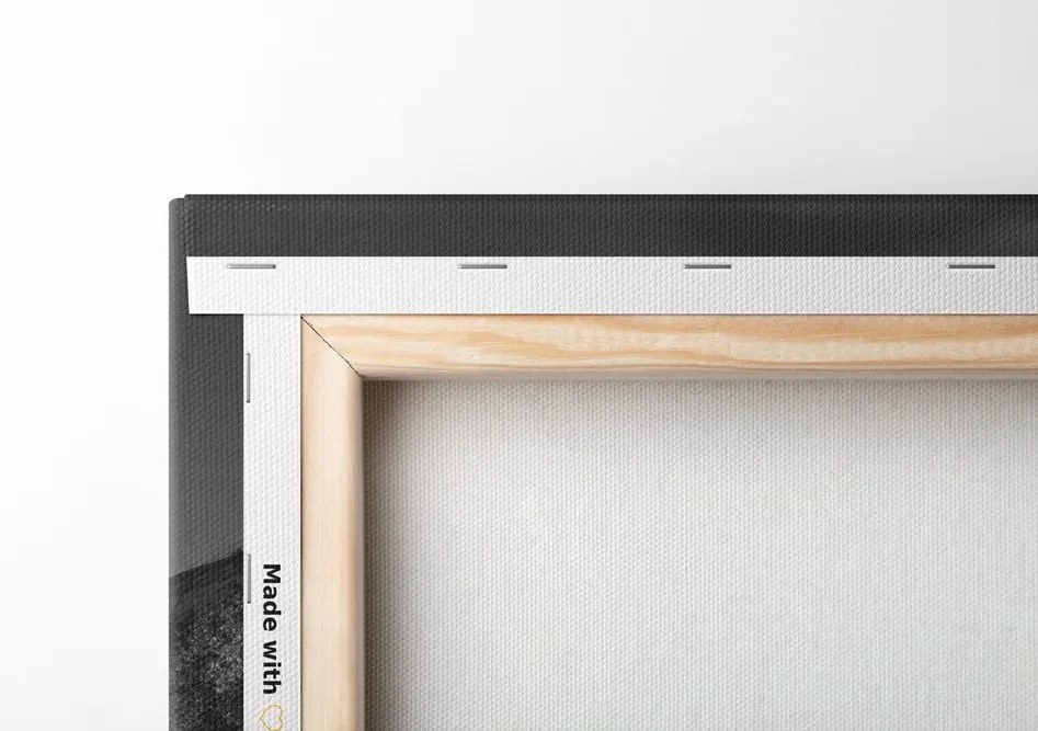 Quadro su tela – Panorama abbagliante di Parigi in bianco e nero