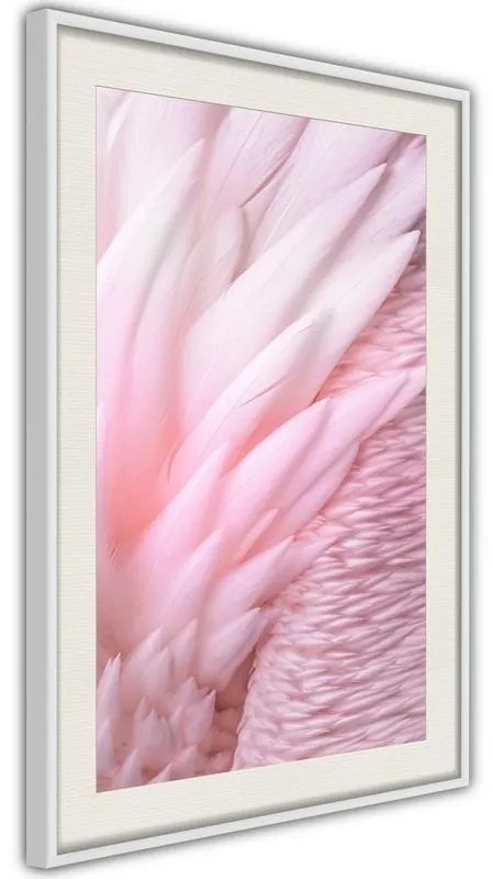 Poster  Pink Feathers  Cornice Quadri Cornice nera, Larghezza x Altezza Home decor 20x30