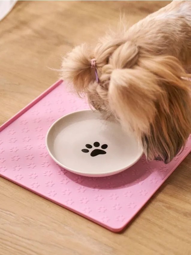 Sinsay - Ciotola per cani - panna