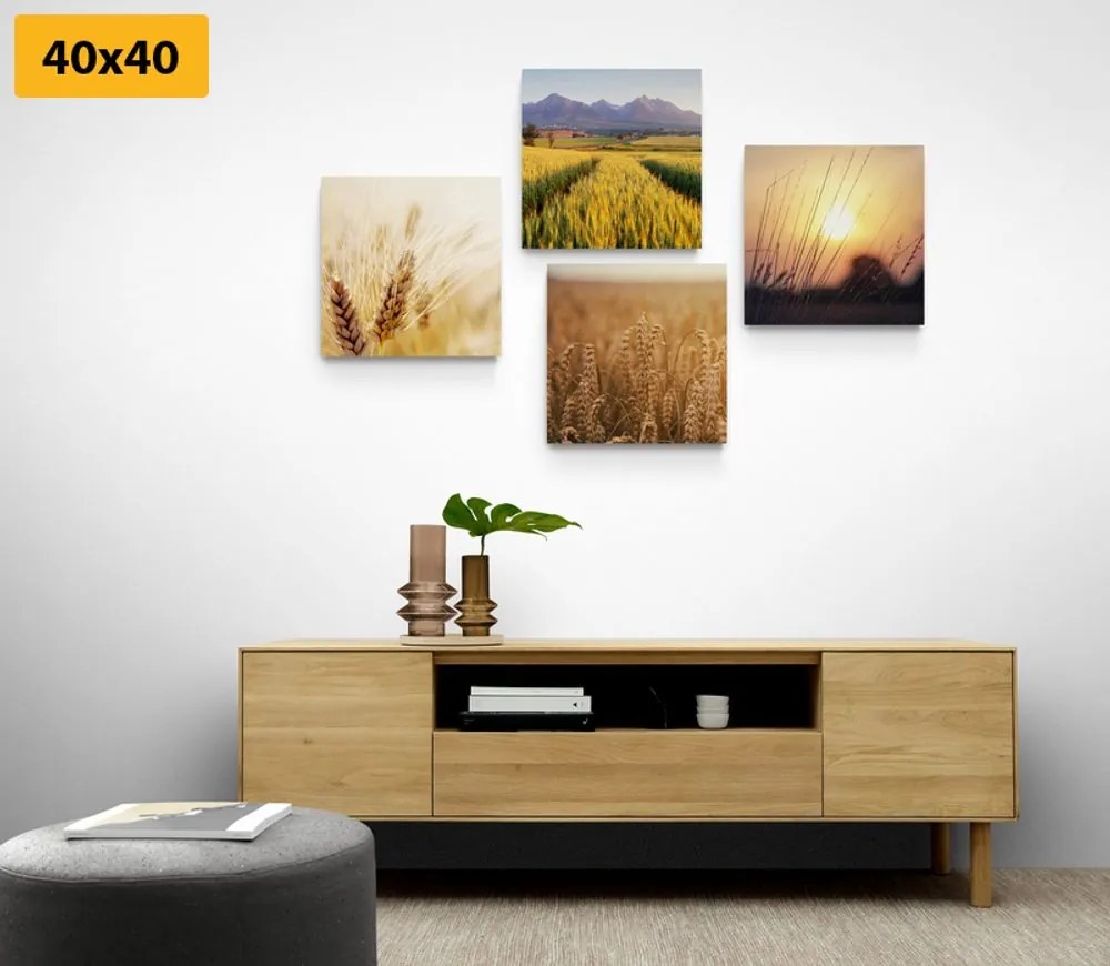 Set di quadri – Incanto della natura