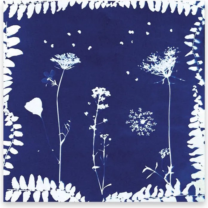 Atelier per bambini XXL - Erbario - 6 creazioni con fiori da essiccare