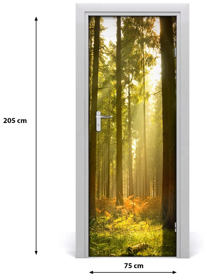 Adesivo per porta interna Paesaggi Bella foresta 75x205 cm