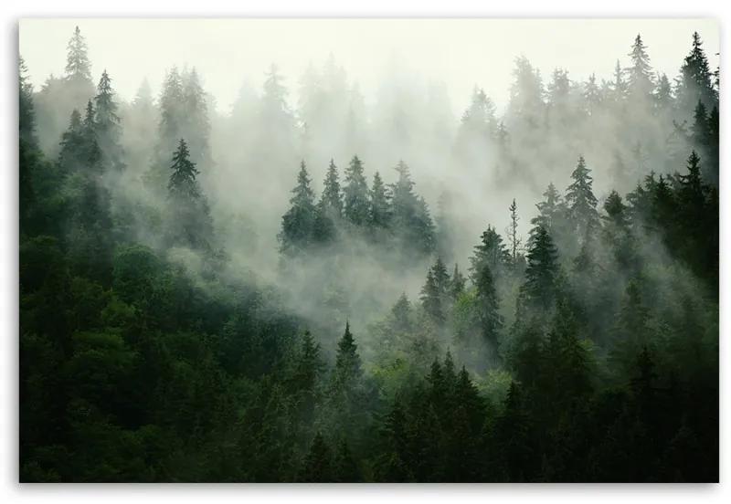 Quadro su tela, Foresta nella nebbia