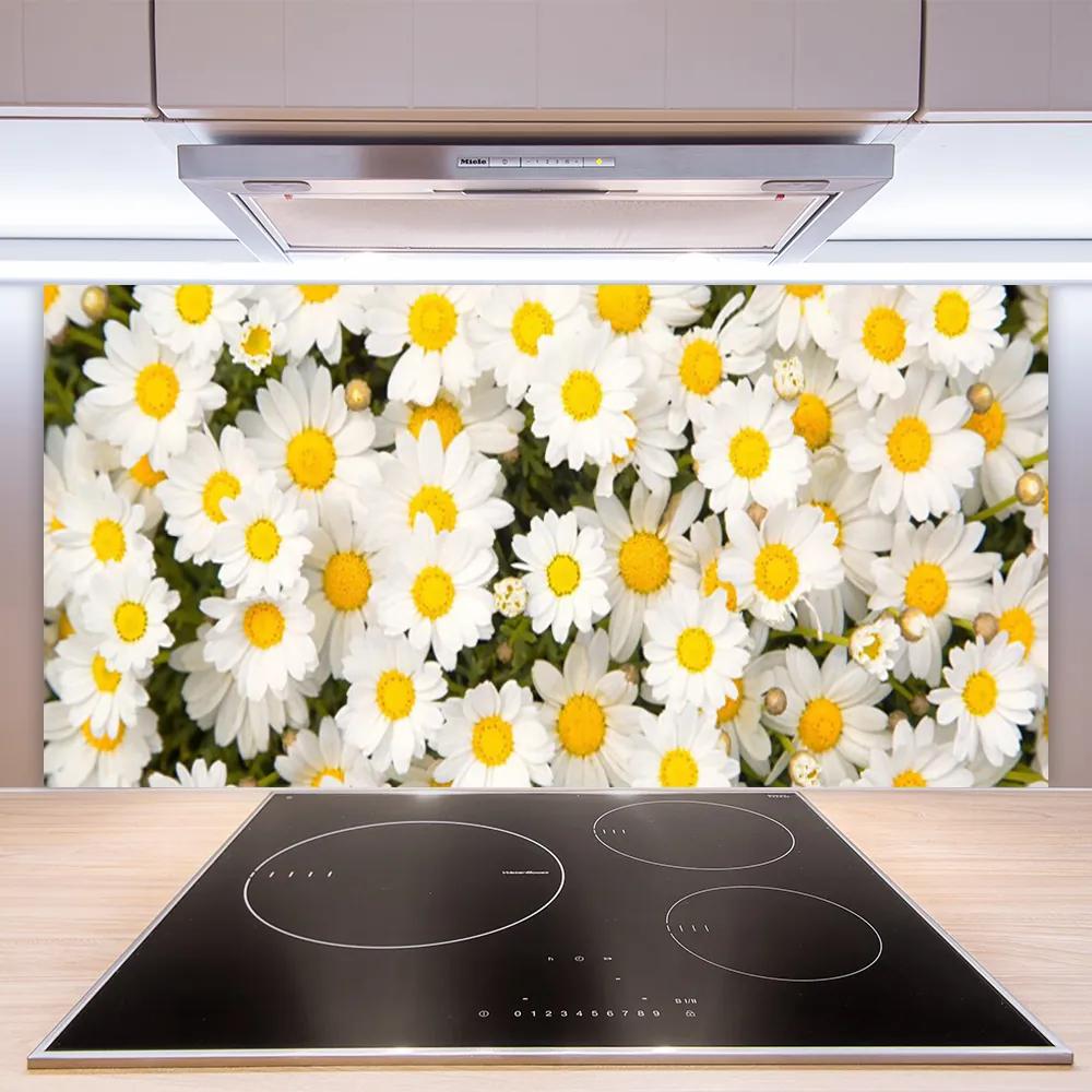 Pannello paraschizzi cucina Fiori di margherite 100x50 cm