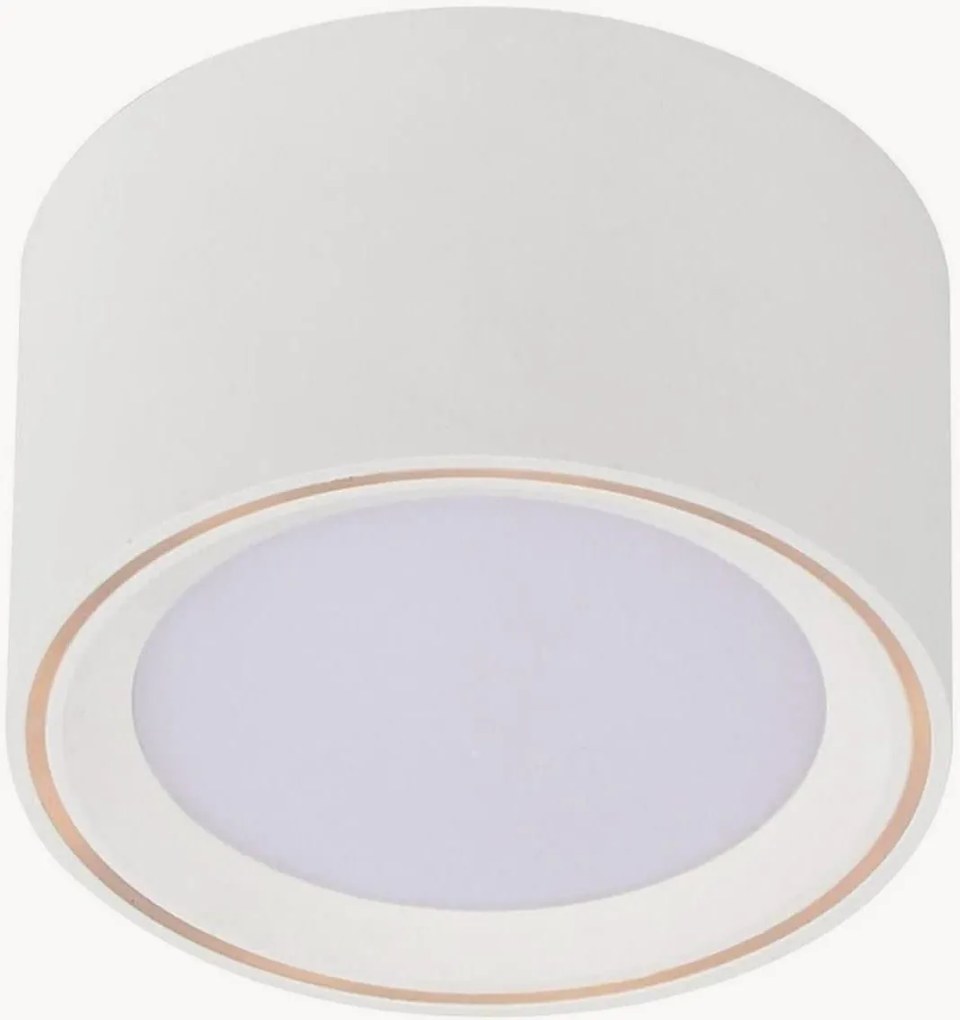 Faretto da soffitto a LED