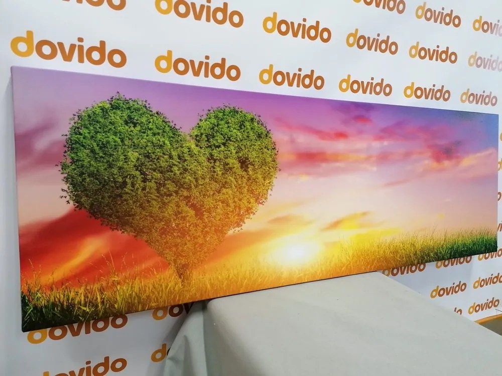 Stampa su tela – Albero a forma di cuore nel prato