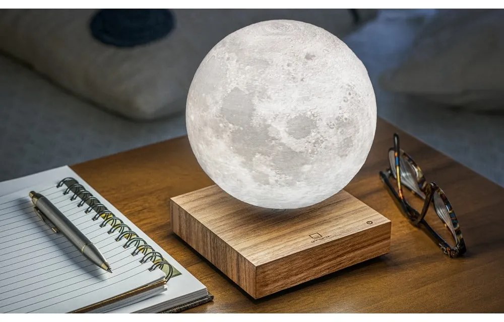 Decorazione luminosa marrone con alimentazione a corrente ø 12 cm Moon – Gingko