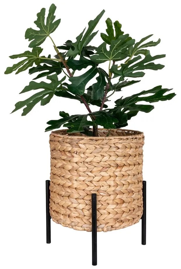 Vaso per giacinto d'acqua ø 26,5 cm Antas - House Nordic