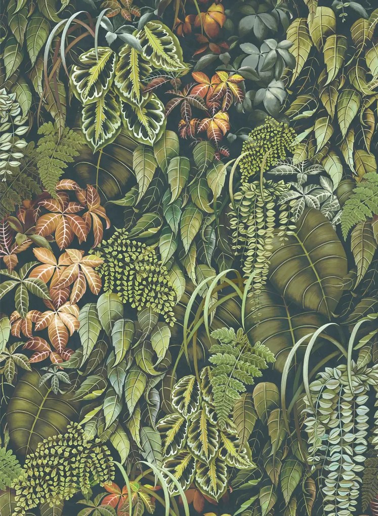 Osborne & Little Carta da parati Green Wall - Olive