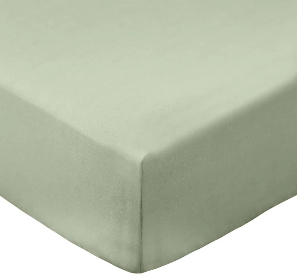 Lenzuolo con angoli verde in percalle di cotone 90x190 cm Cotton Percale – Bianca