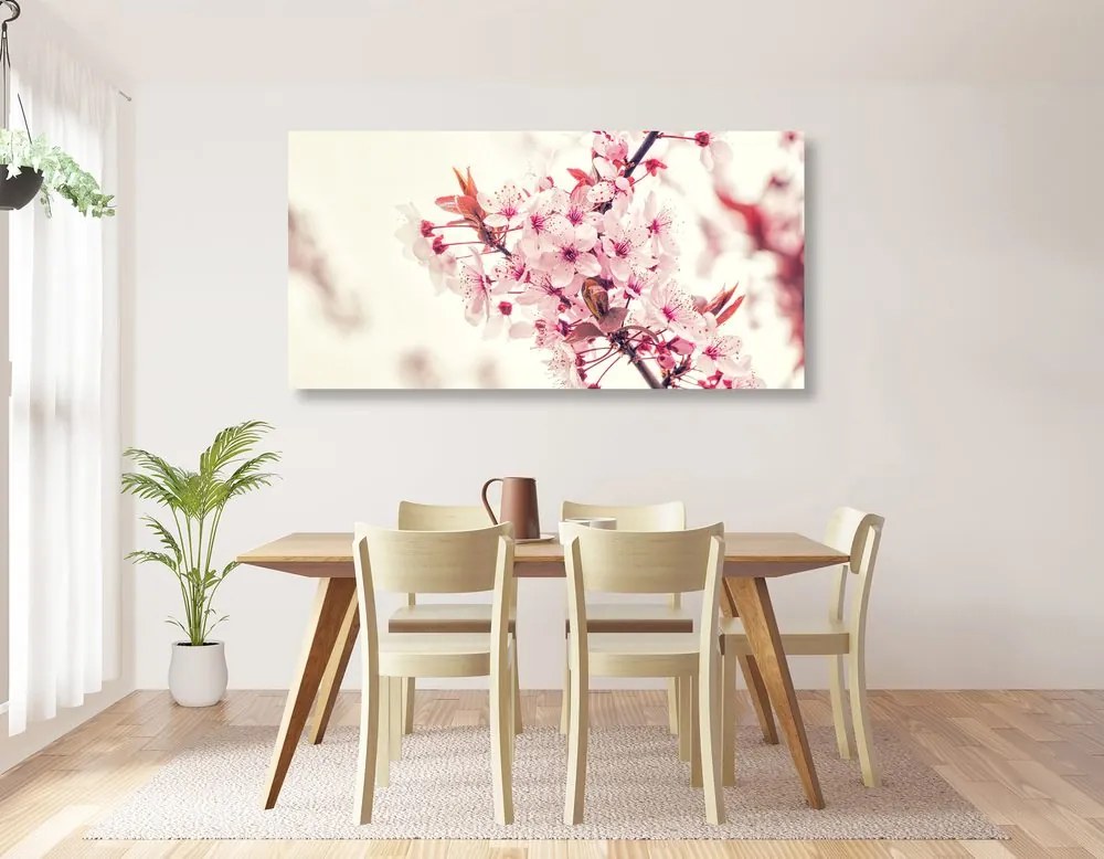 Quadro su tela – Fiori rosa di ciliegio