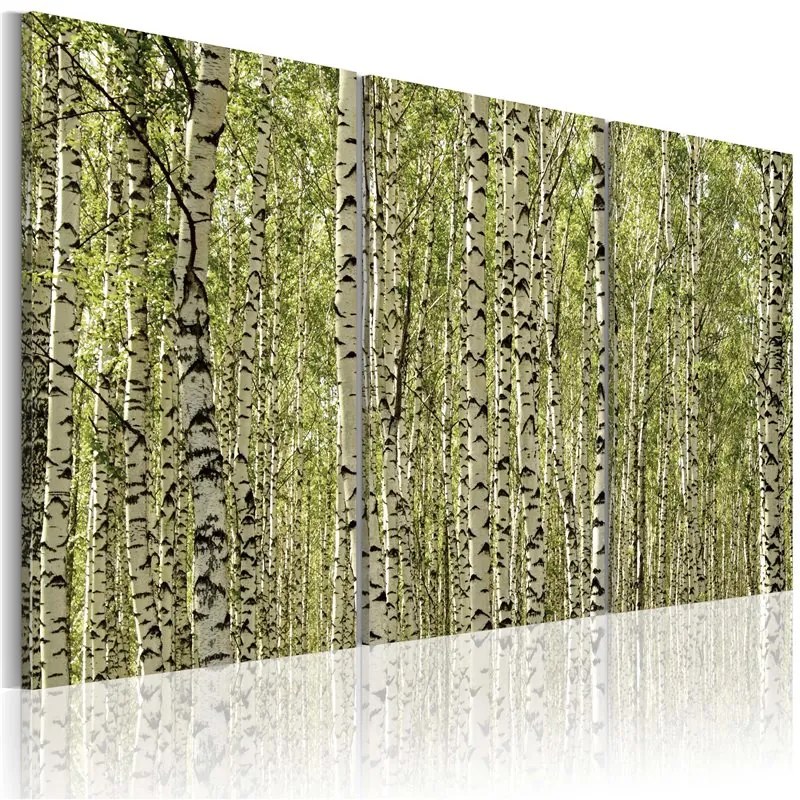 Quadro Bosco di betulle  Colore Verde, Dimensioni e Misure 120x80