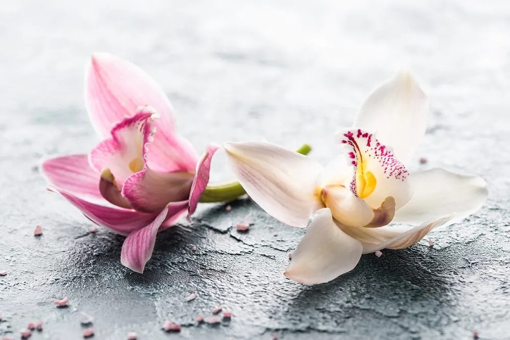 Carta da parati – Fiori di orchidee