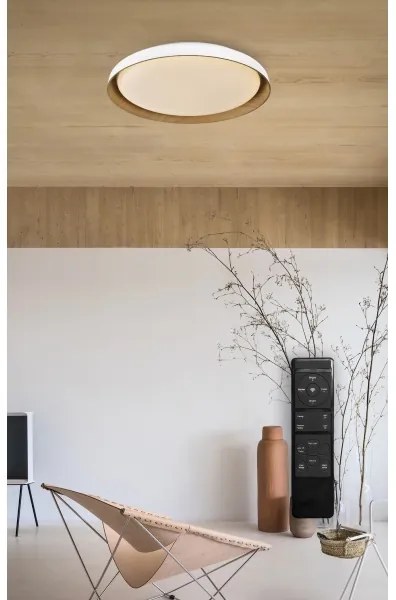 Top Light-Plafoniera LED dimmerabile SATELLITE LED/36W/230V 3000-6500K bianco + +TC