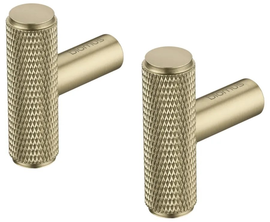 Set di ganci da parete color ottone in metallo 2 pz Rof – Blomus