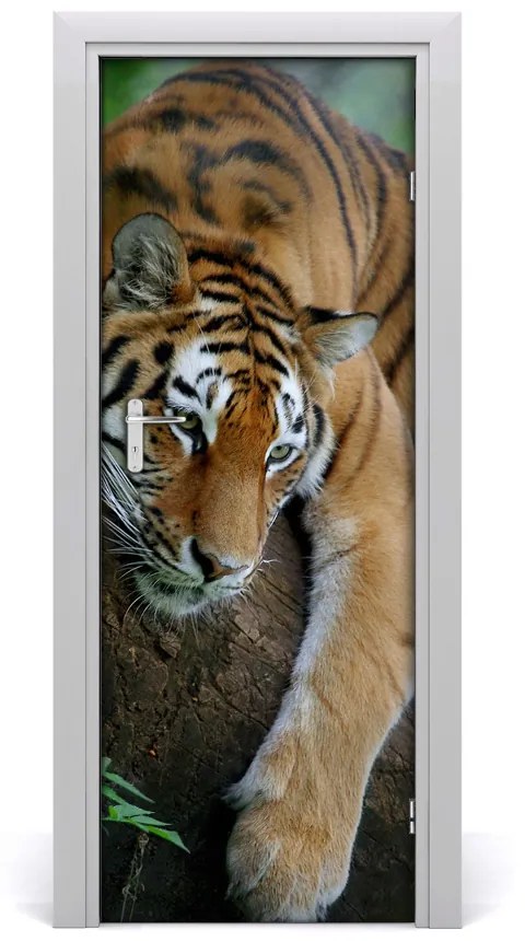 Poster adesivo per porta Tigre su un albero 85x205 cm