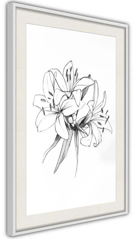 Poster  Sketch of Lillies  Cornice Quadri Cornice nera con pass-partout, Larghezza x Altezza Home decor 40x60