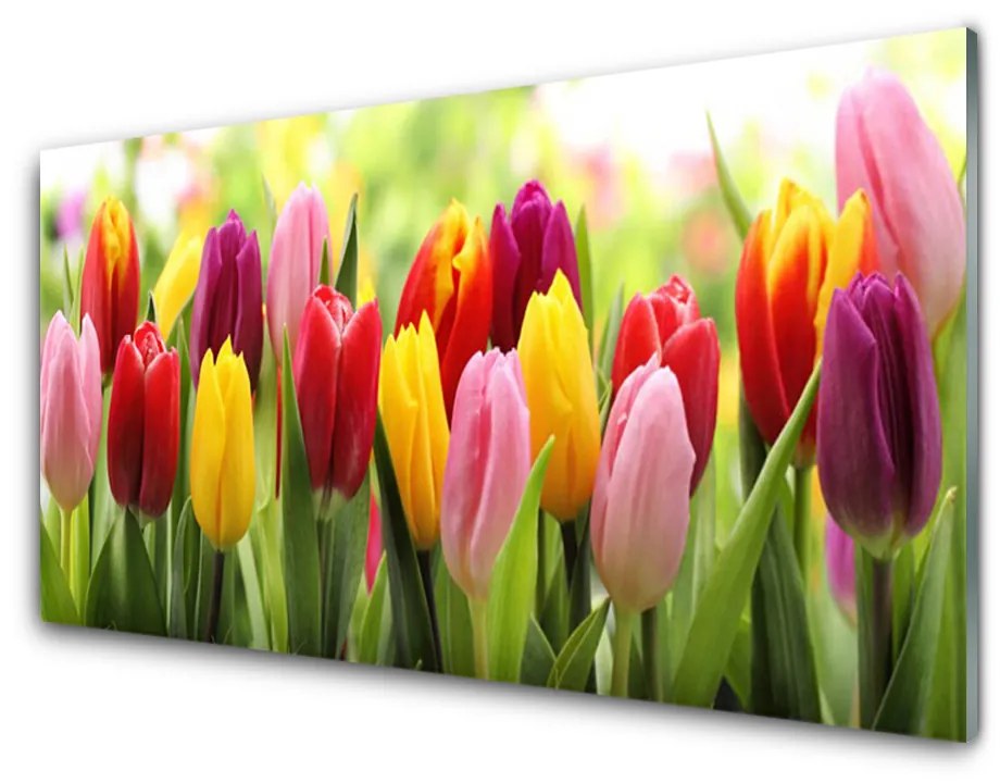 Quadro vetro Tulipani Fiori della natura 100x50 cm