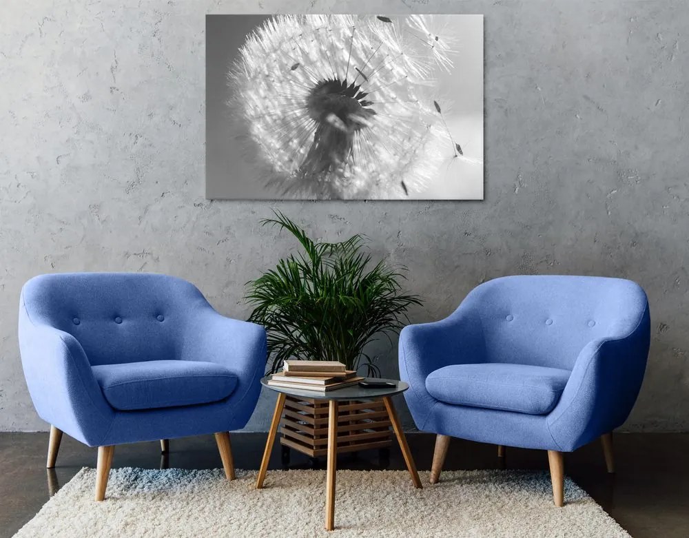 Quadro su tela – Dettaglio del soffione in bianco e nero