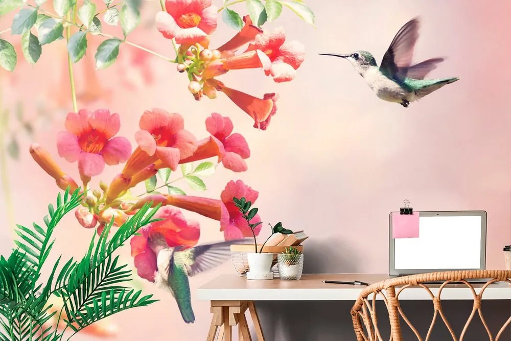 Carta da parati – Invasione di colibrì
