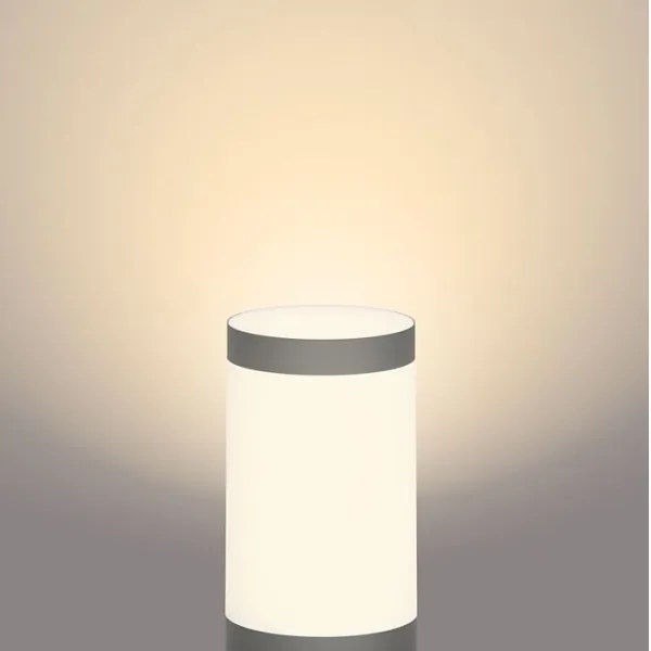 Philips - Lampada da esterno a LED UTRECHT GARDENLINK LED/6W/12V 2700K IP44