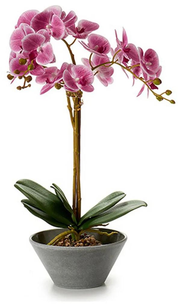 Pianta Decorativa Orchidea 16 x 48 x 28 cm Plastica (4 Unità)