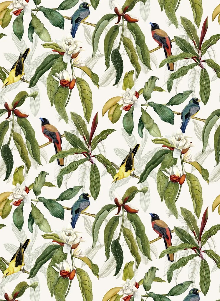 Osborne & Little Tapete Michelia - Ivory