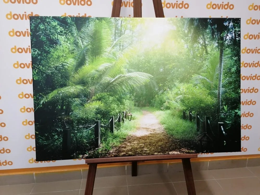 Stampa su tela – Sentiero sull'isola di Seychelles