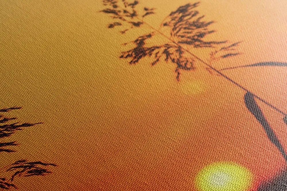 Stampa su tela – Steli d'erba al tramonto