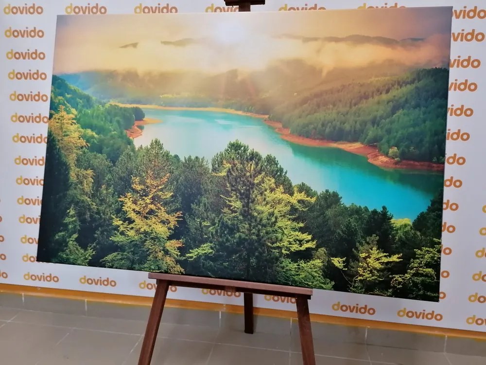 Stampa su tela – Fiume nel mezzo della foresta verde