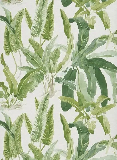 Tapete Benmore von Nina Campbell - Green/ Ivory