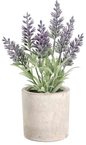 Eglo 428031 - Pianta artificiale CHITOSE 22x8 cm in vaso lavanda