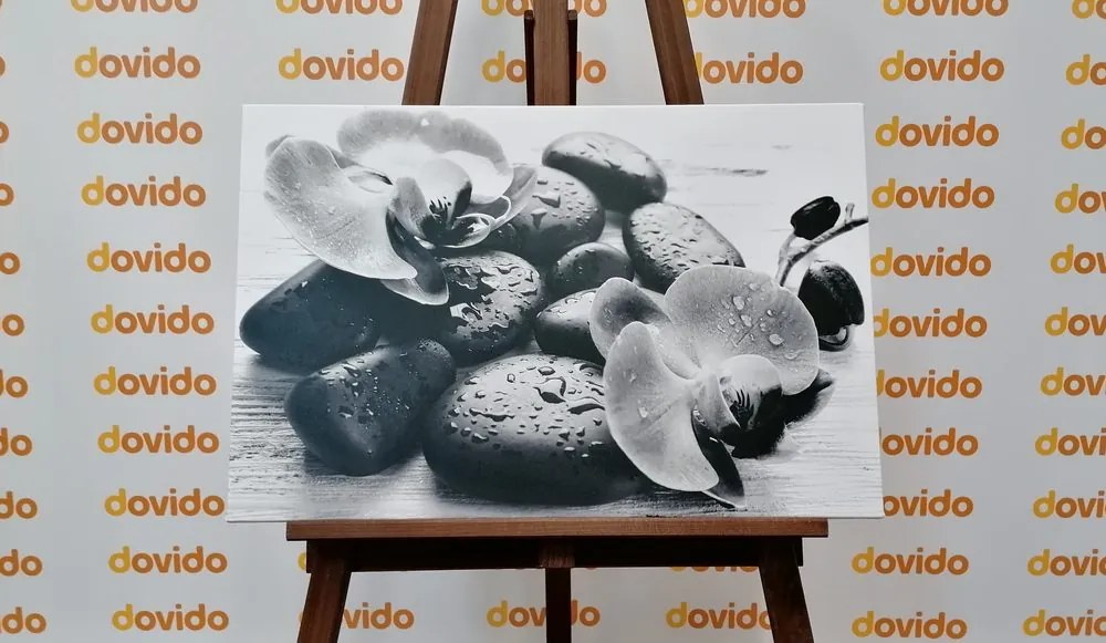 Quadro su tela – Bella armonia di pietre e orchidee in bianco e nero