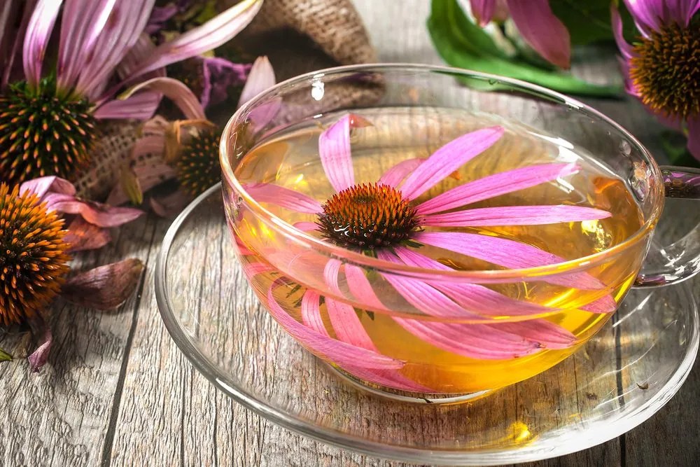 Quadro su tela – Tazza di tè alle erbe