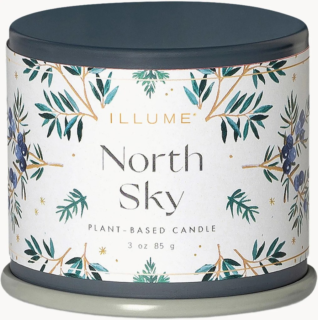 Candela profumata North Sky (agrumi, ribes, legno di ebano)