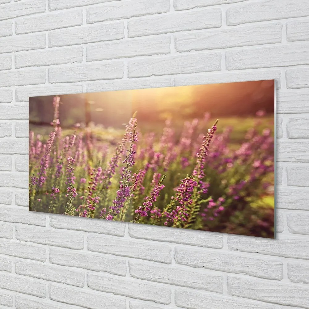 Quadro in vetro Campo di heather 100x50 cm 2 appendini