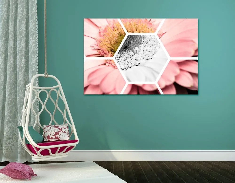 Quadro su tela – Gerbera in esagono
