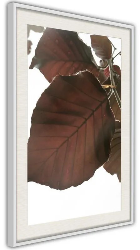 Poster  Burgundy Tilia Leaf  Cornice Quadri Cornice nera, Larghezza x Altezza Home decor 30x45