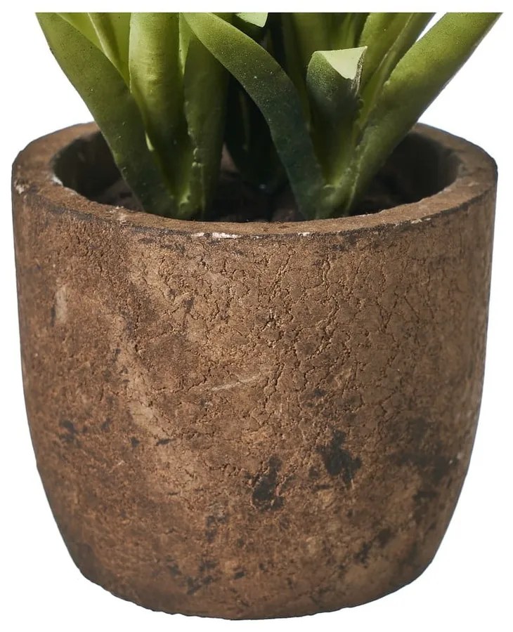 Piante artificiali in set da 4 (altezza 10 cm) Cactus - Casa Selección