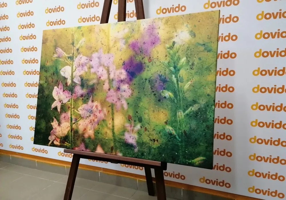 Quadro su tela – Disegno acquerellato di piante di montagna
