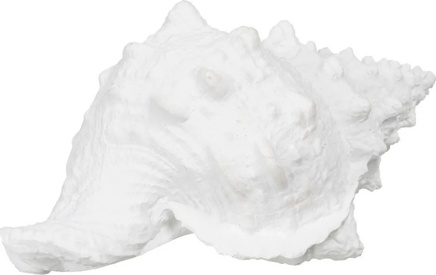 Statua in poliresina (altezza 12 cm) Seashell - Ixia